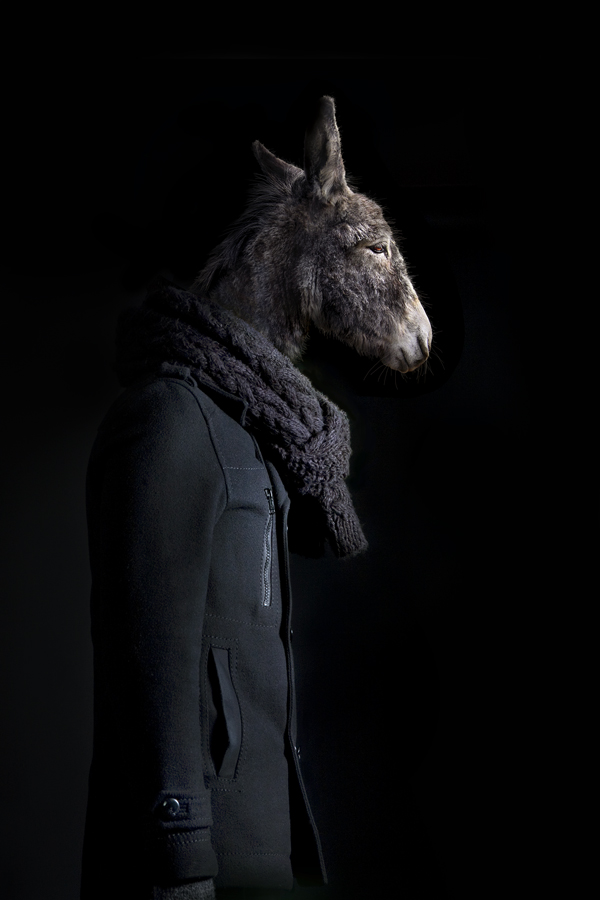 Miguel Vallinas, ‘Donkey – Portrait Number Thirty Nine’, stampa fotografica opaca, 70 x 50 cm